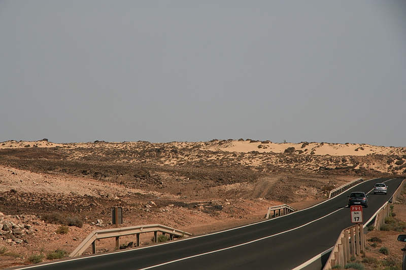 Kanary_2010 063